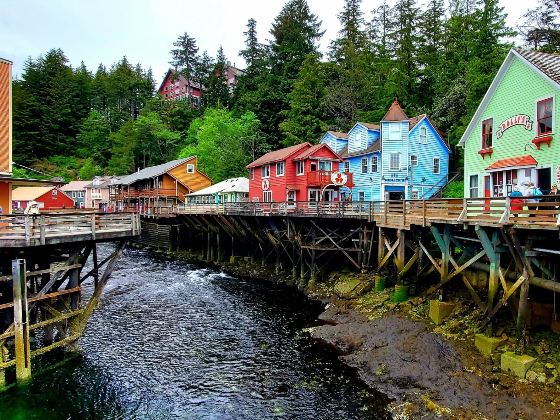 ALASKA CRUISE on Celebrity Edge - Image 3