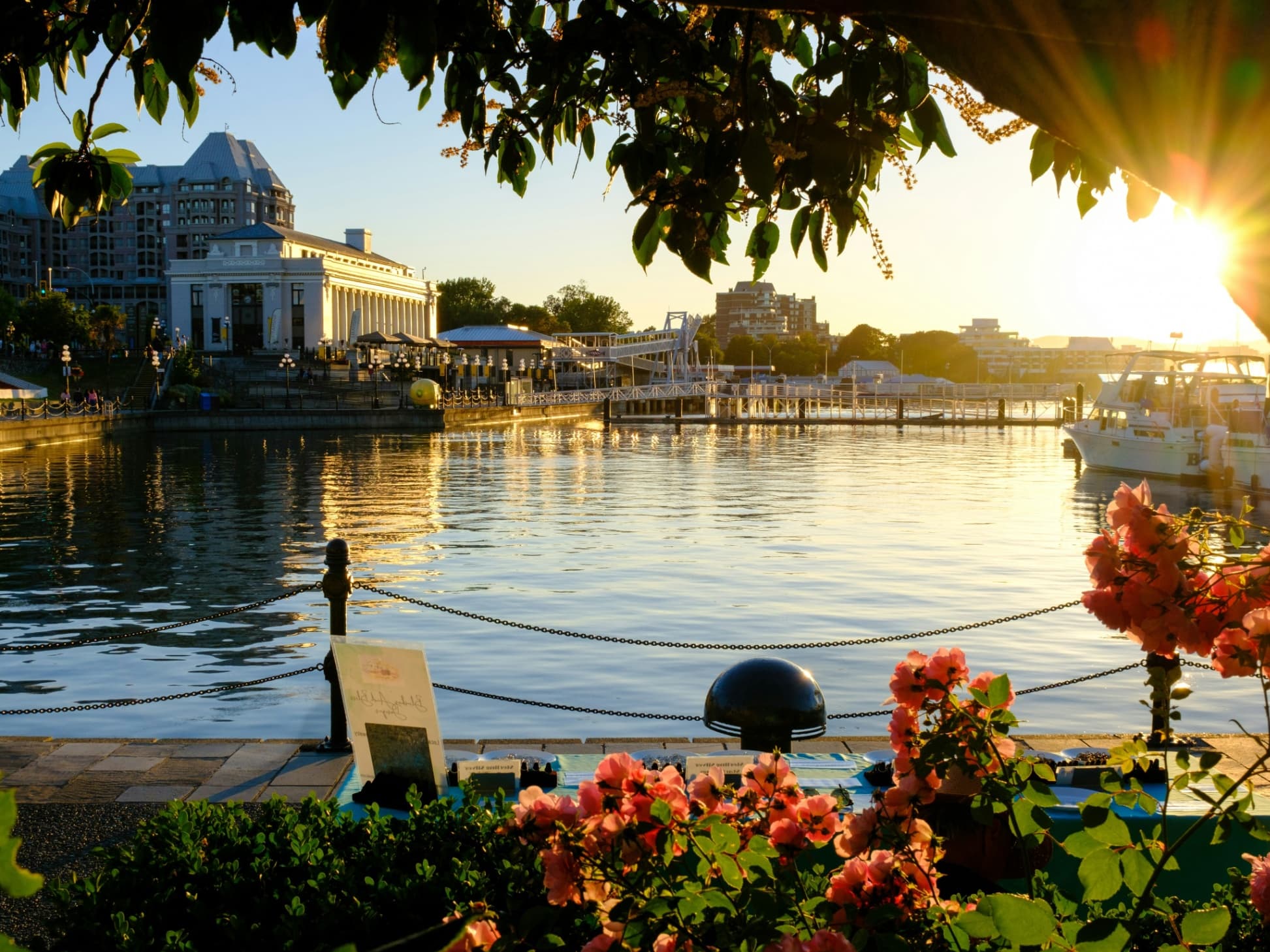 ALASKA CRUISE on Celebrity Edge - Image 8